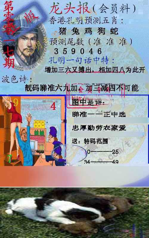 017期龙头报[图]