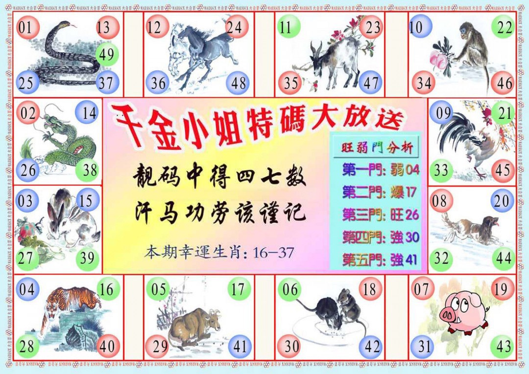 017期千金小姐B版[图]