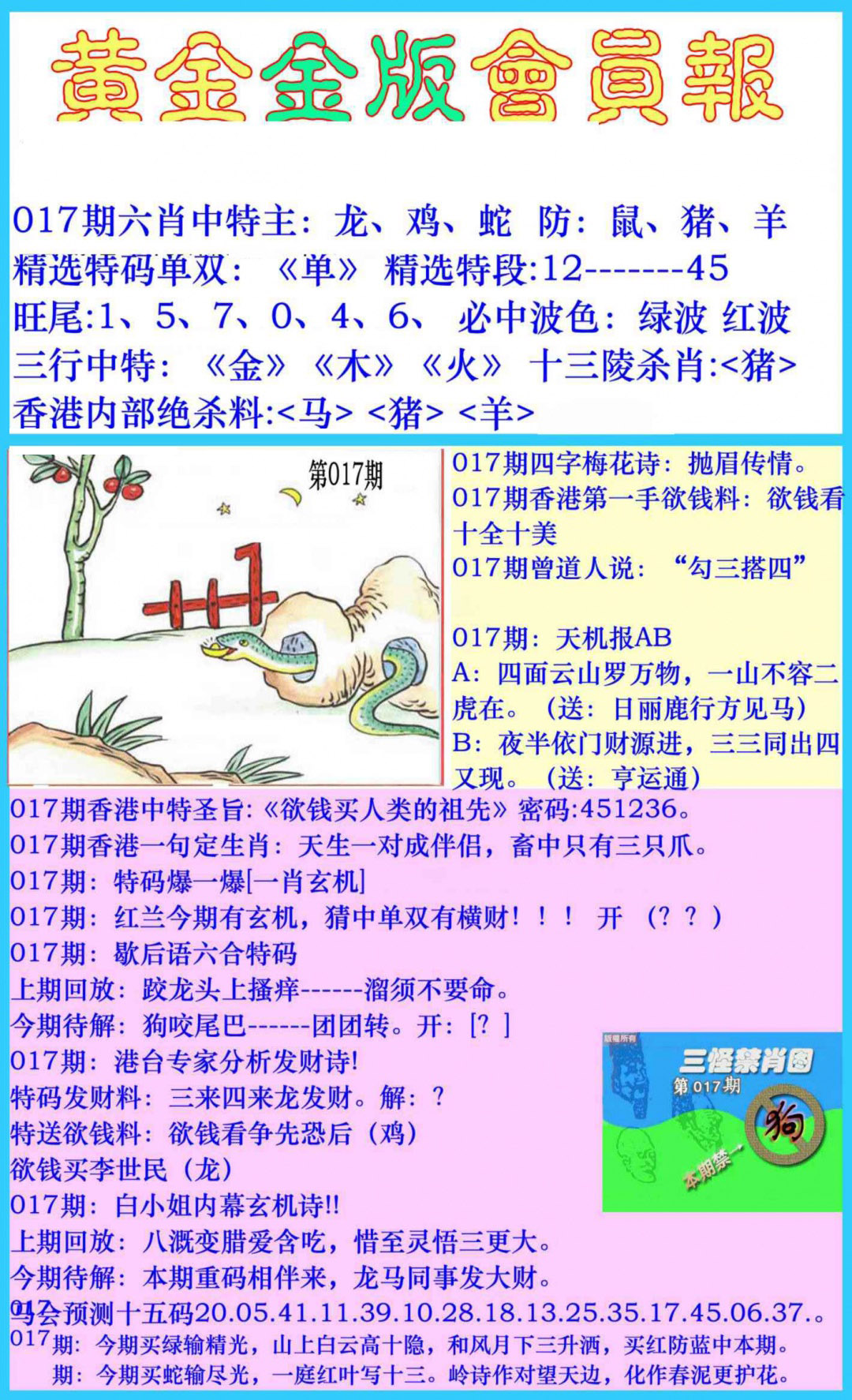 017期黄金金版会员报[图]