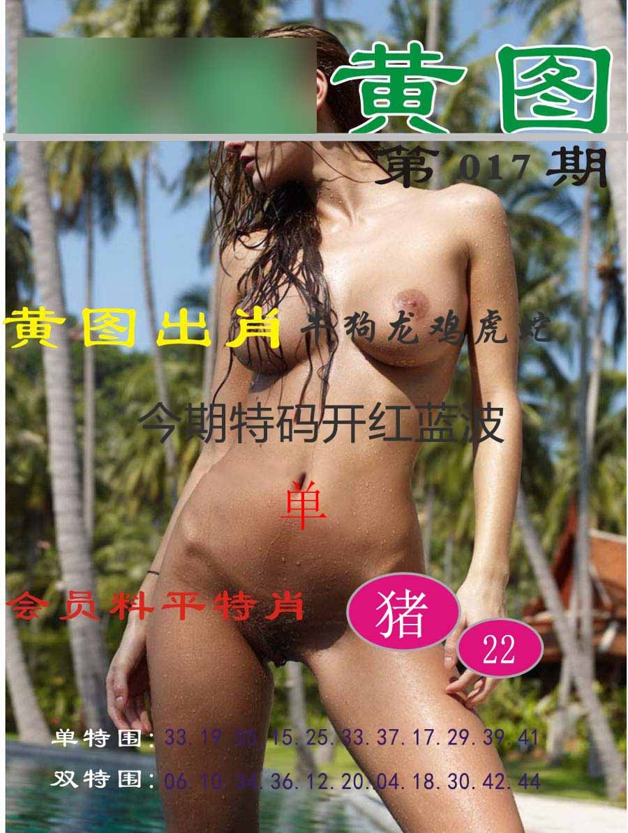 017期黄图[图]