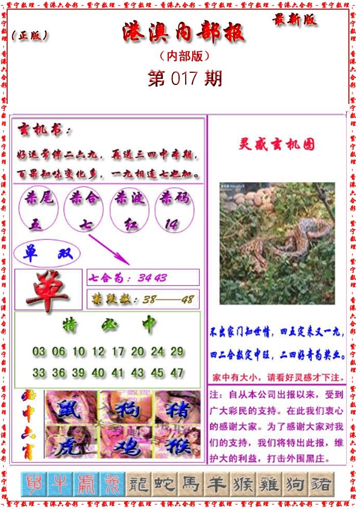 017期港澳报[图]