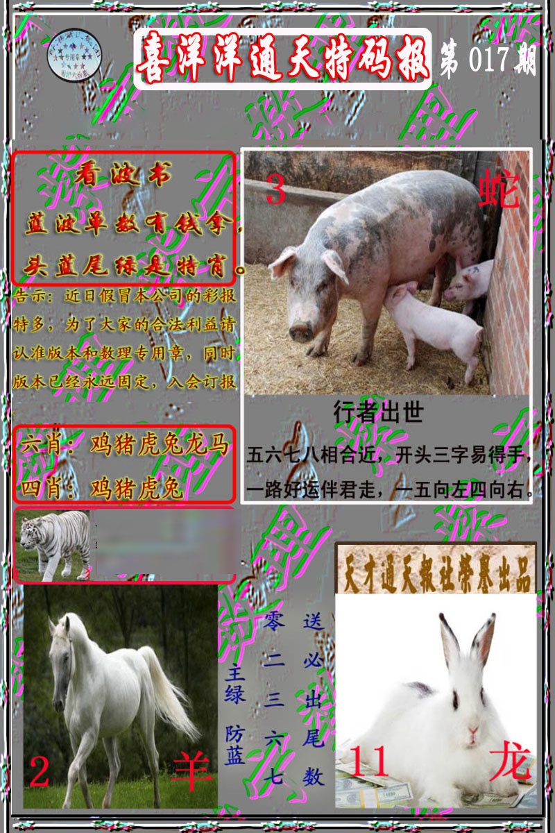 017期洋通报[图]