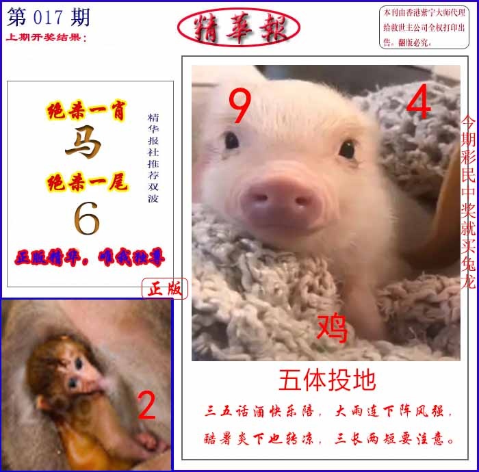 017期新精华报报[图]
