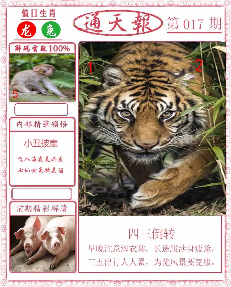 017期正版通天报[图]
