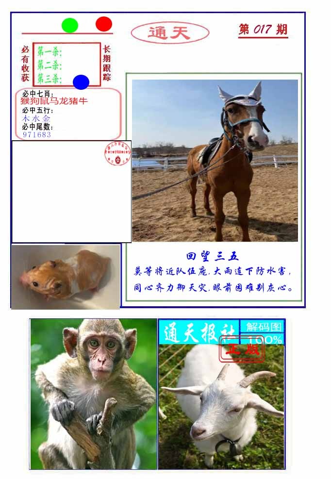 017期通天杀波图2[图]