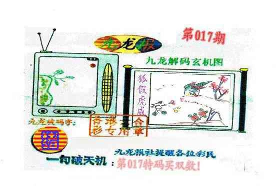017期九龙报[图]