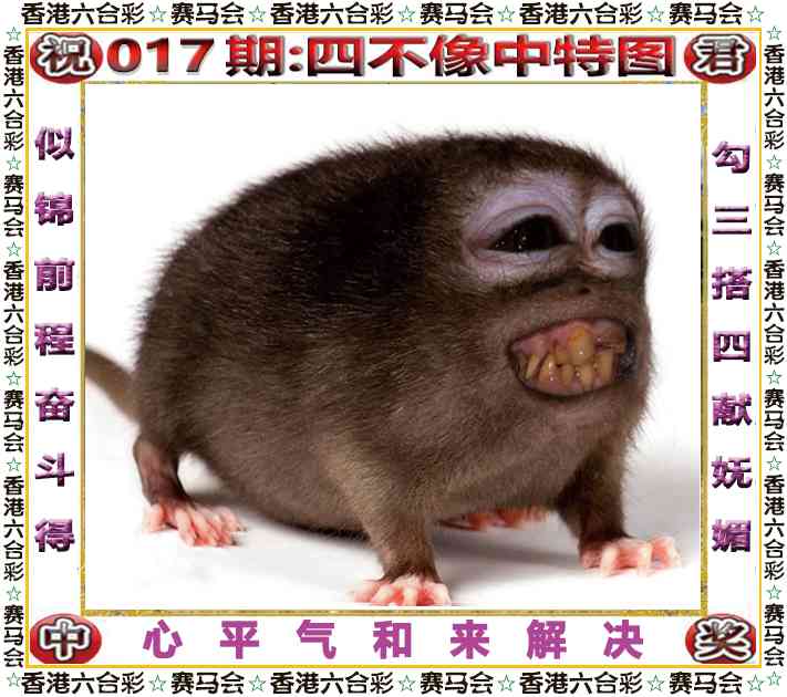 017期四不像中特图[图]