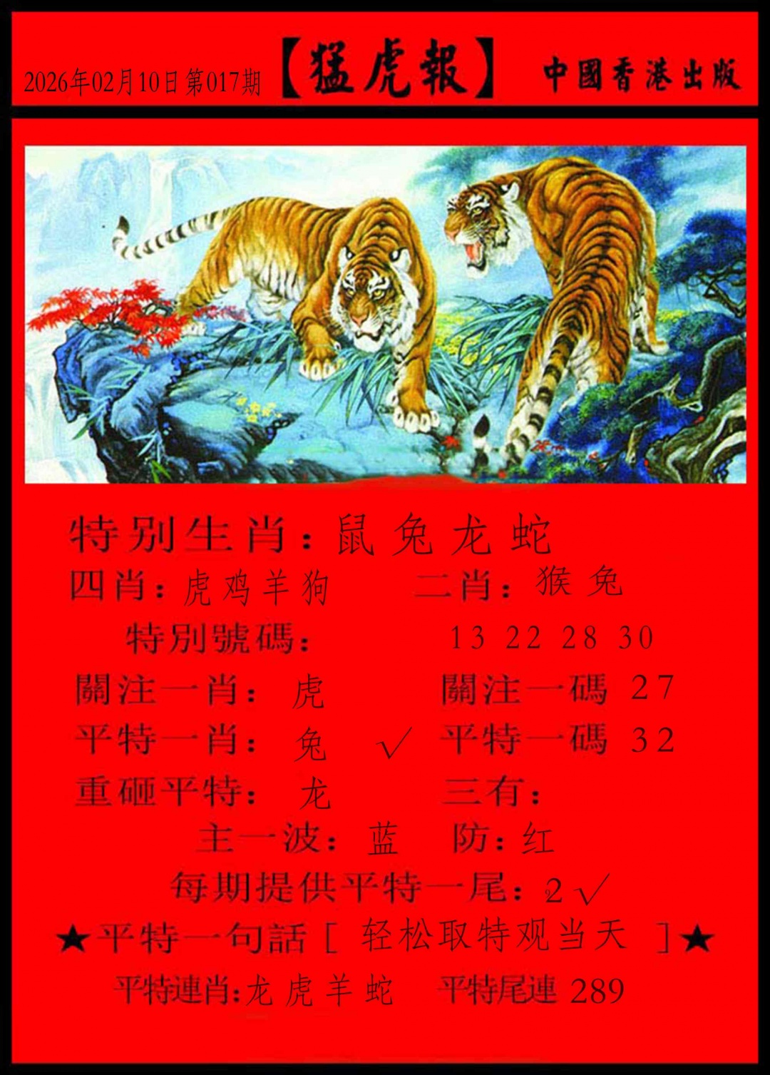 017期猛虎报[图]